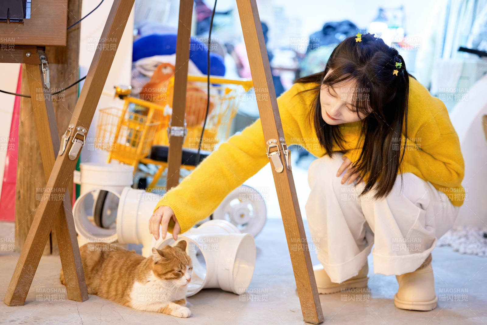 假日在猫咖啡店与猫咪嬉戏的亚洲美女图片