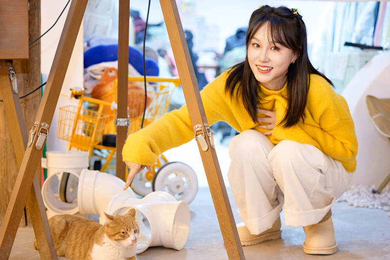 假日在猫咖啡店与猫咪嬉戏的亚洲美女图片