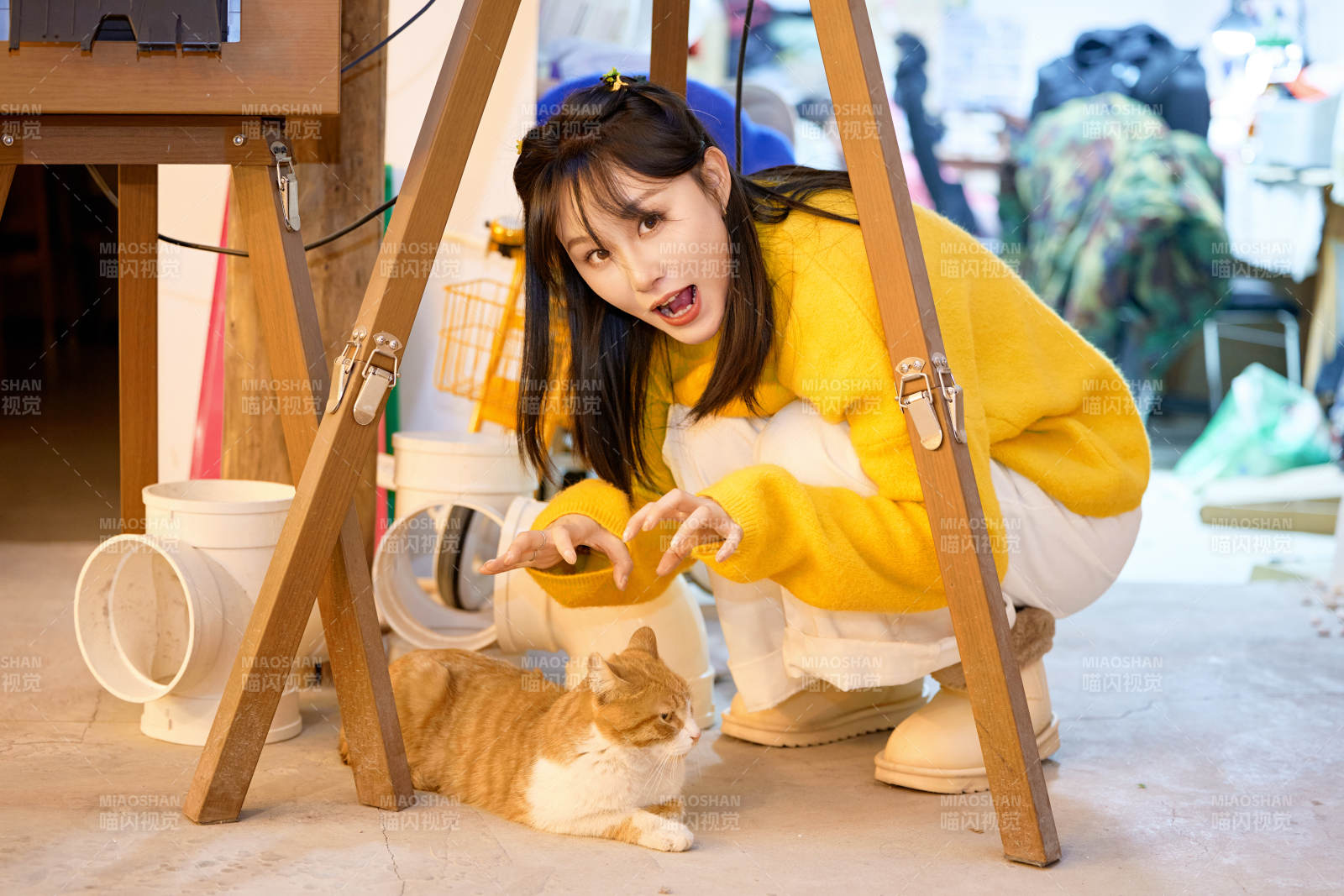 假日在猫咖啡店与猫咪嬉戏的亚洲美女图片