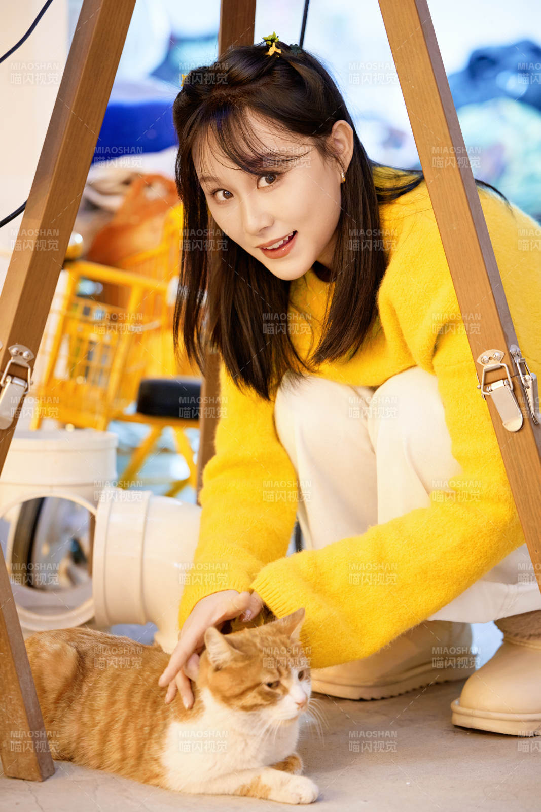 假日在猫咖啡店与猫咪嬉戏的亚洲美女图片