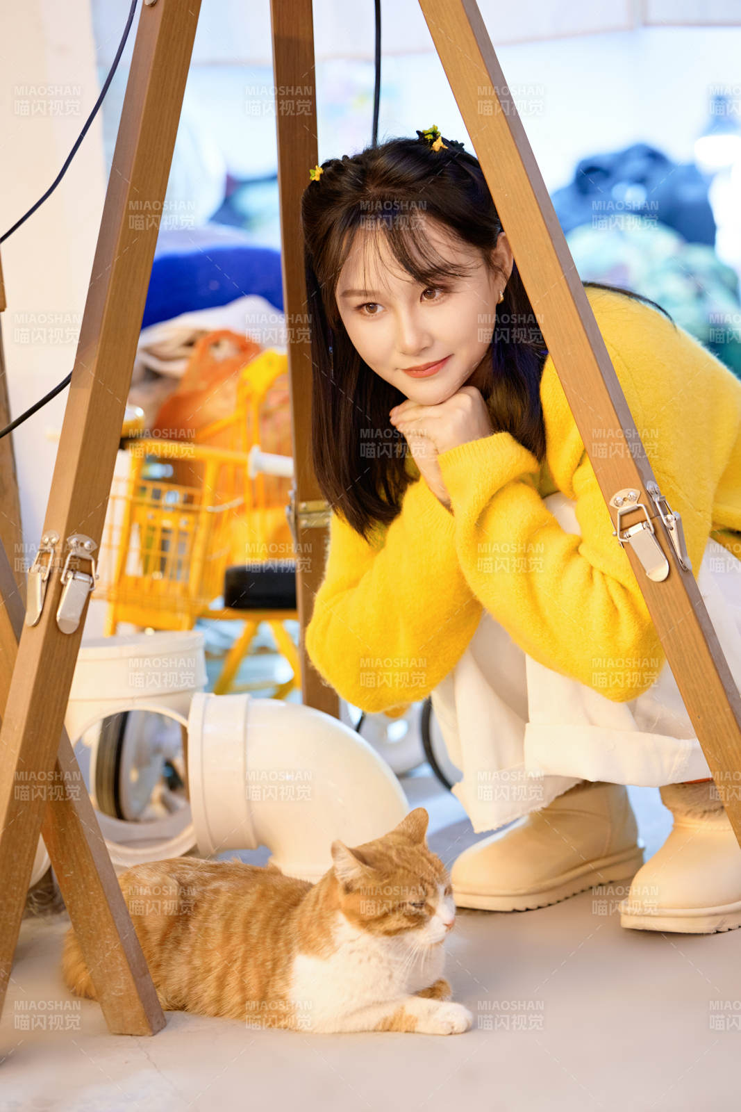 假日在猫咖啡店与猫咪嬉戏的亚洲美女图片