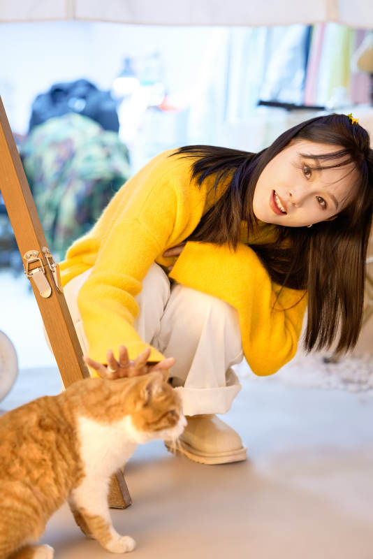 假日在猫咖啡店与猫咪嬉戏的亚洲美女图片