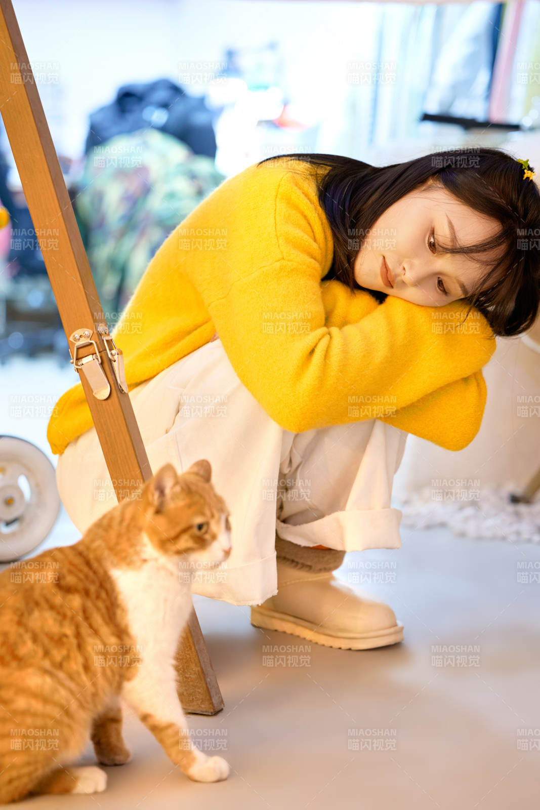 假日在猫咖啡店与猫咪嬉戏的亚洲美女图片