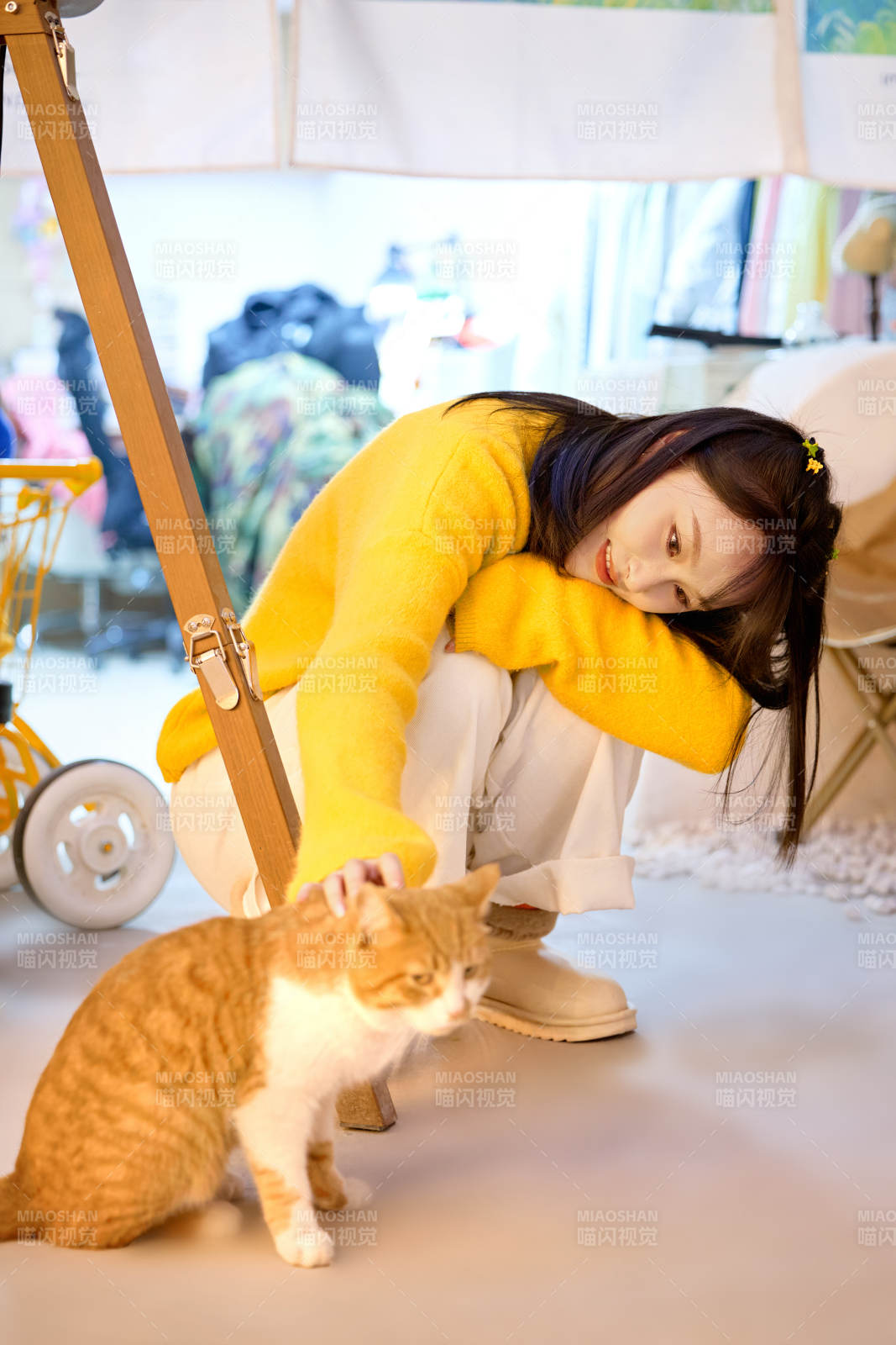 假日在猫咖啡店与猫咪嬉戏的亚洲美女图片