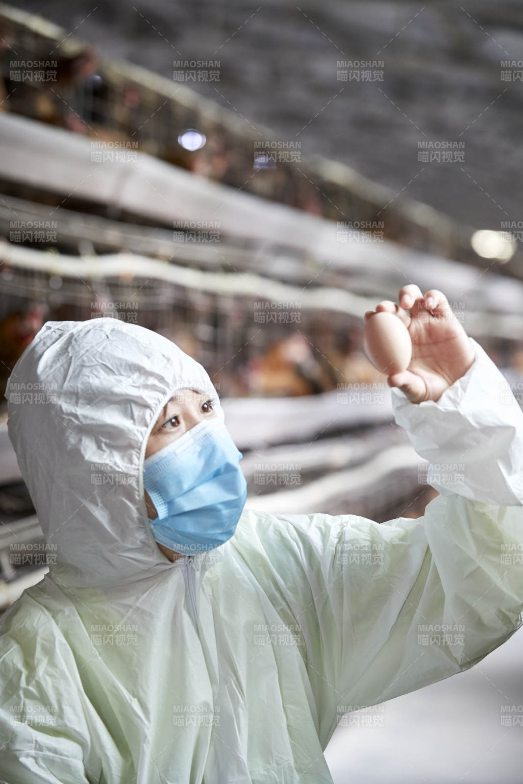 身穿防护服展示油鸡蛋的女性饲养员图片