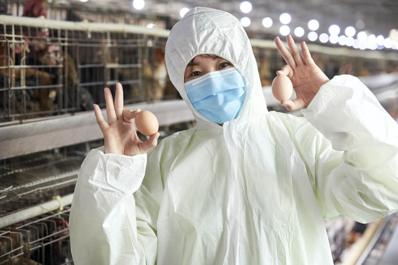 身穿防护服展示油鸡蛋的女性饲养员图片
