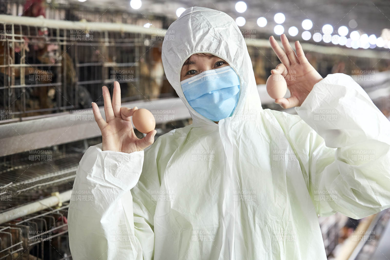 身穿防护服展示油鸡蛋的女性饲养员图片