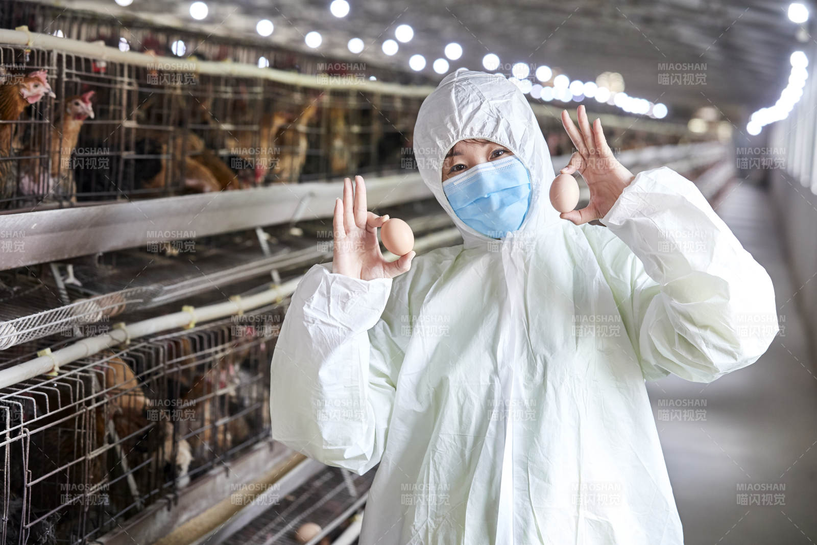 身穿防护服展示油鸡蛋的女性饲养员图片
