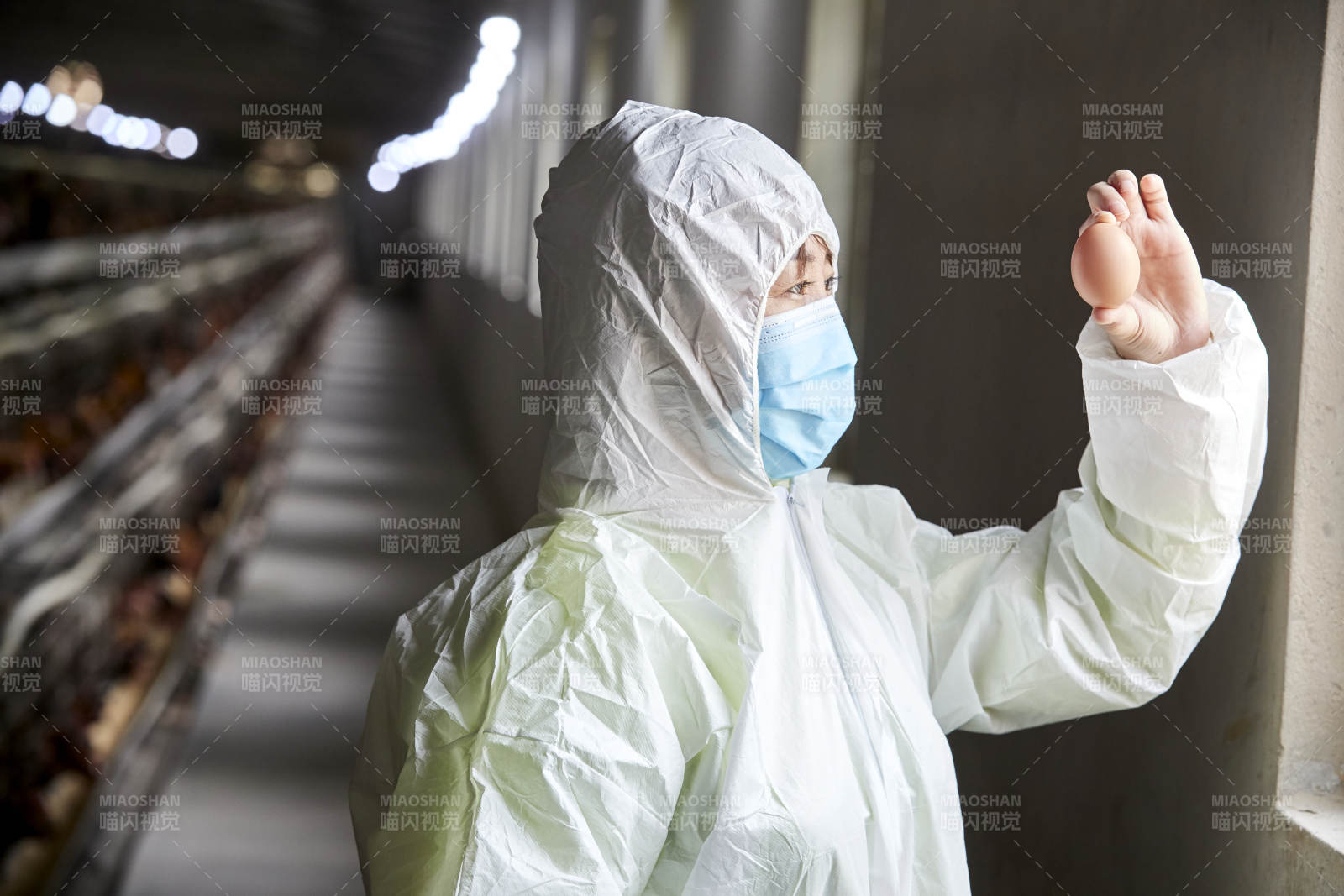 身穿防护服展示油鸡蛋的女性饲养员图片