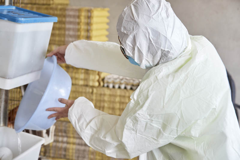 身穿防护服展示油鸡蛋的女性饲养员图片