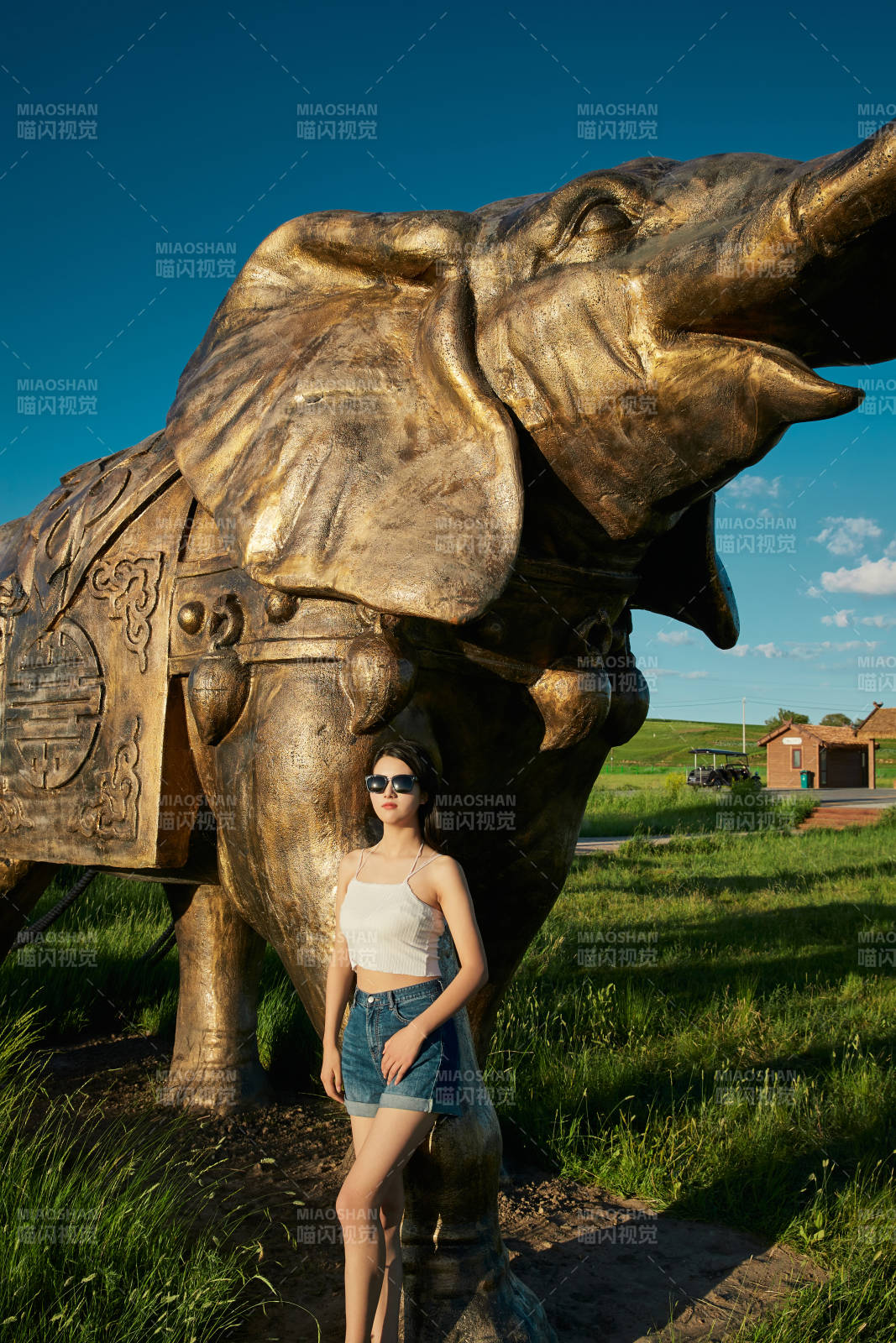 草原湿地公园游玩拍照的亚洲少女图片