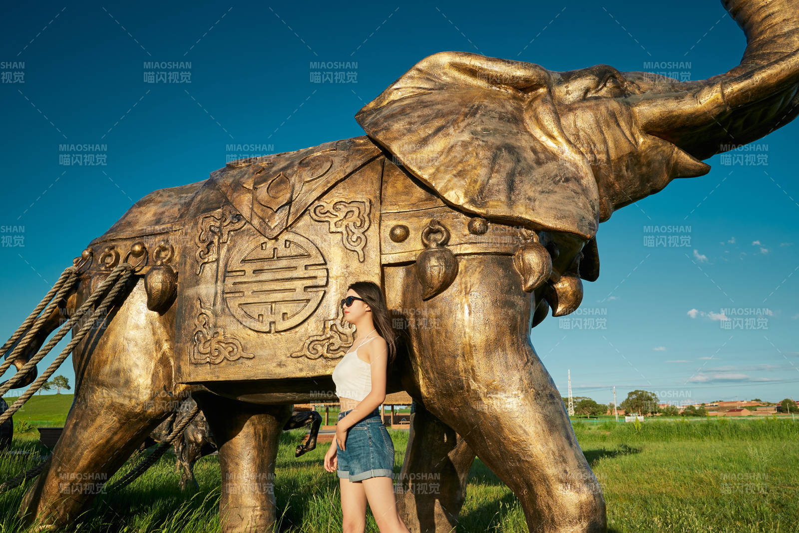 草原湿地公园游玩拍照的亚洲少女图片