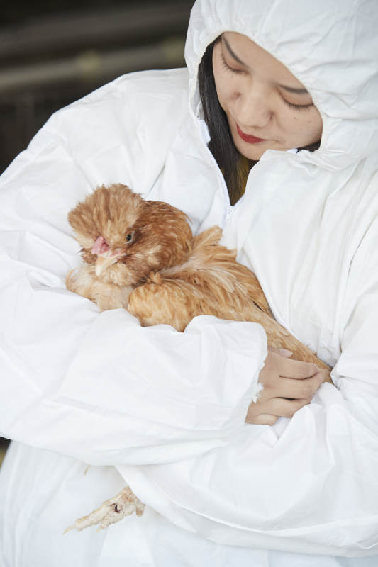 身穿防护服怀抱家禽的年轻女性饲养员图片