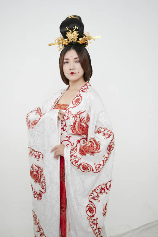 大唐风韵女性古装造型唐朝古装图片