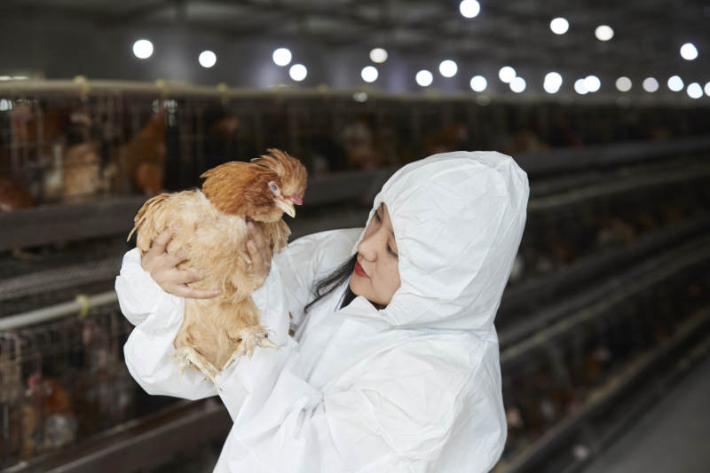 身穿防护服怀抱家禽的年轻女性饲养员图片