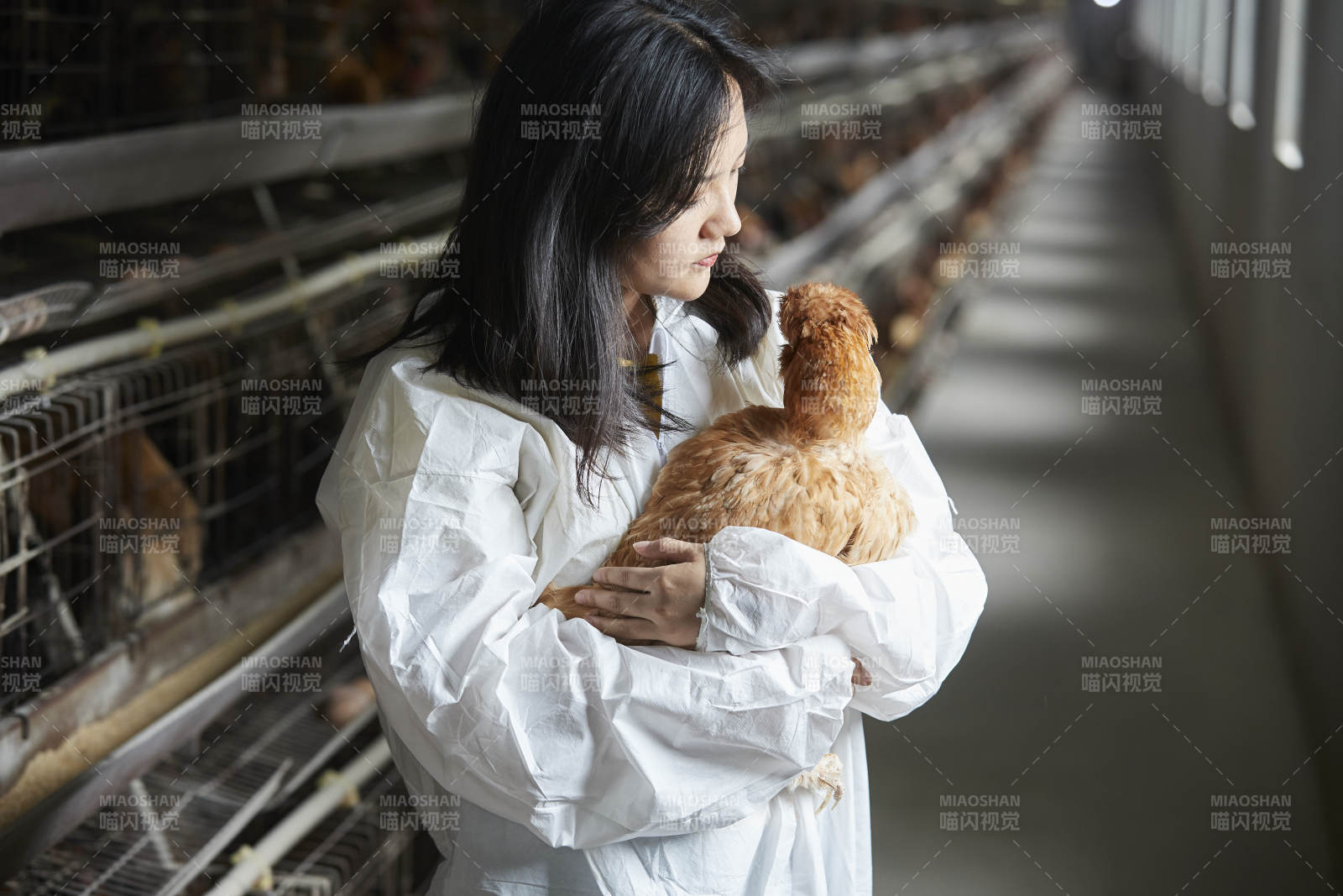身穿防护服怀抱家禽的年轻女性饲养员图片