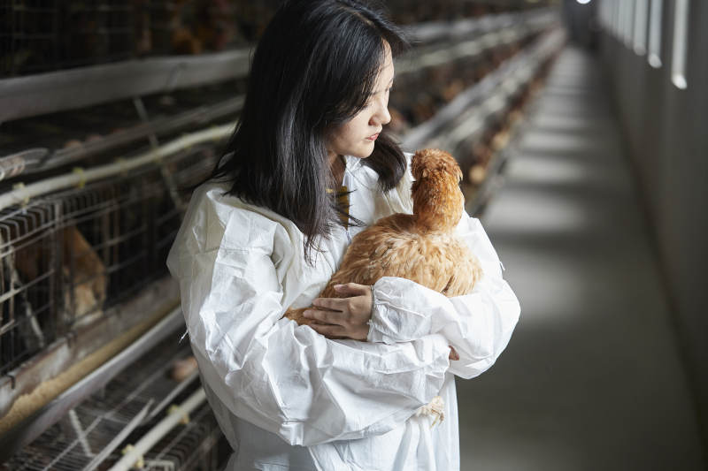 身穿防护服怀抱家禽的年轻女性饲养员图片