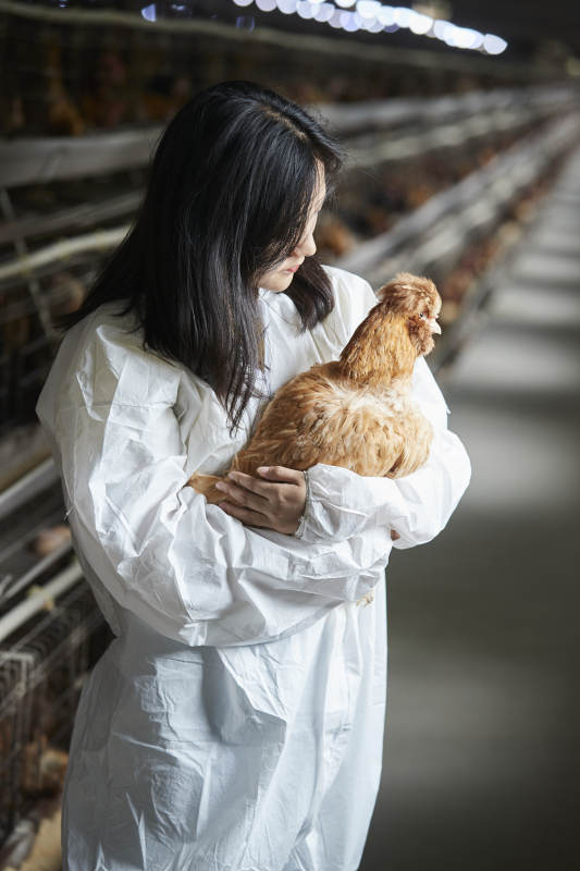 身穿防护服怀抱家禽的年轻女性饲养员图片