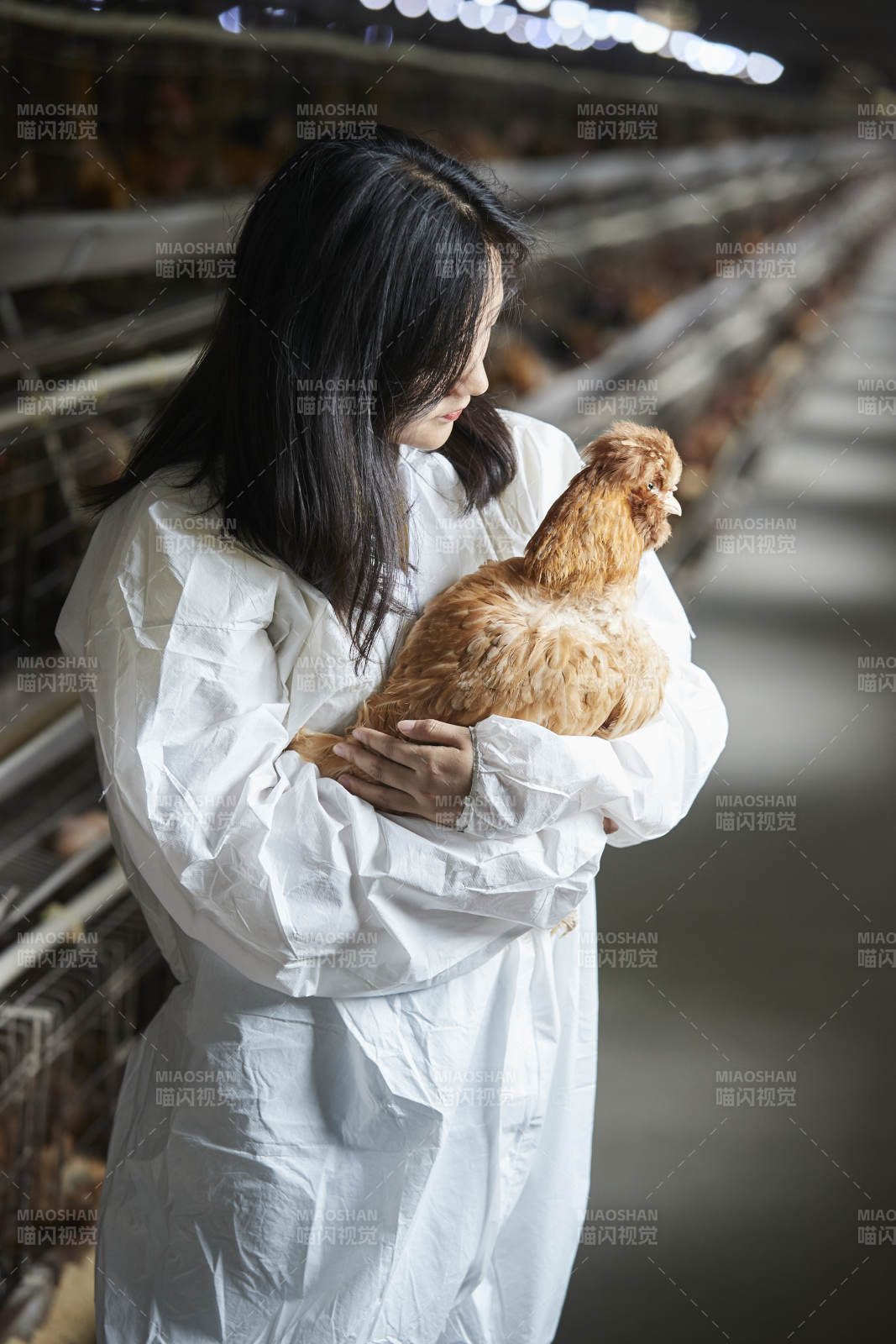 身穿防护服怀抱家禽的年轻女性饲养员图片