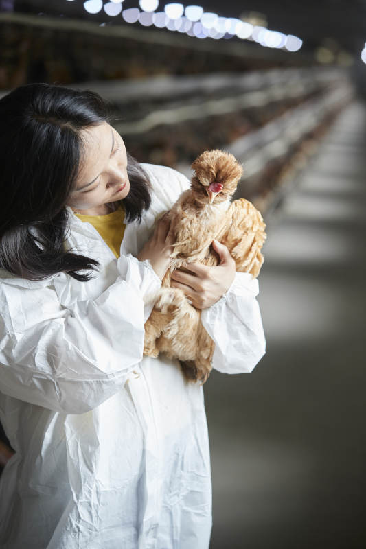 身穿防护服怀抱家禽的年轻女性饲养员图片