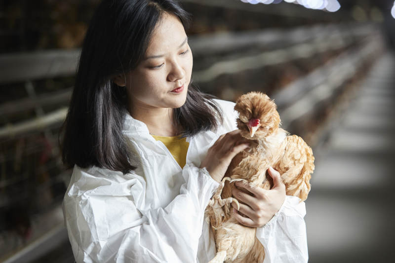 身穿防护服怀抱家禽的年轻女性饲养员图片
