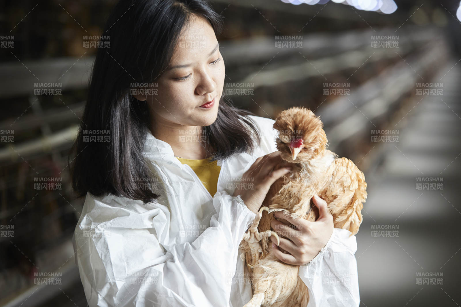 身穿防护服怀抱家禽的年轻女性饲养员图片