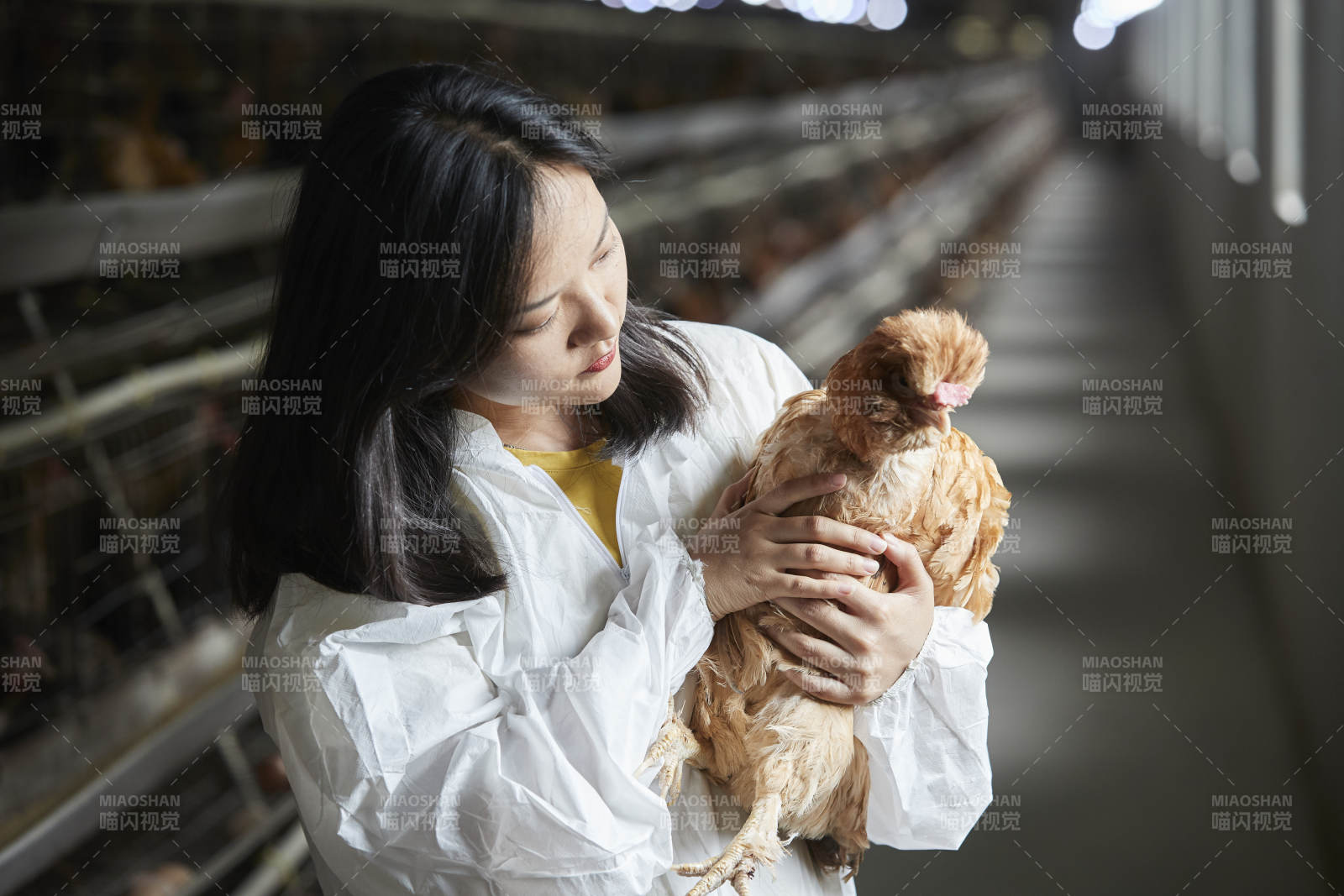 身穿防护服怀抱家禽的年轻女性饲养员图片