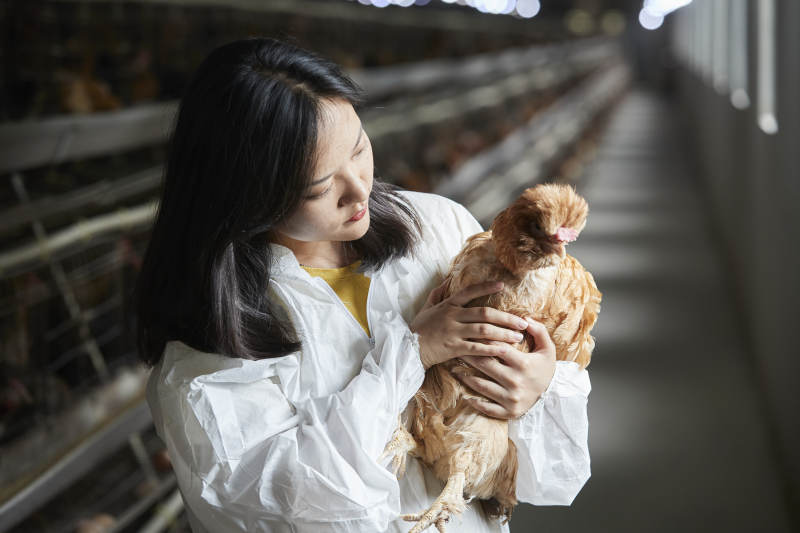 身穿防护服怀抱家禽的年轻女性饲养员图片