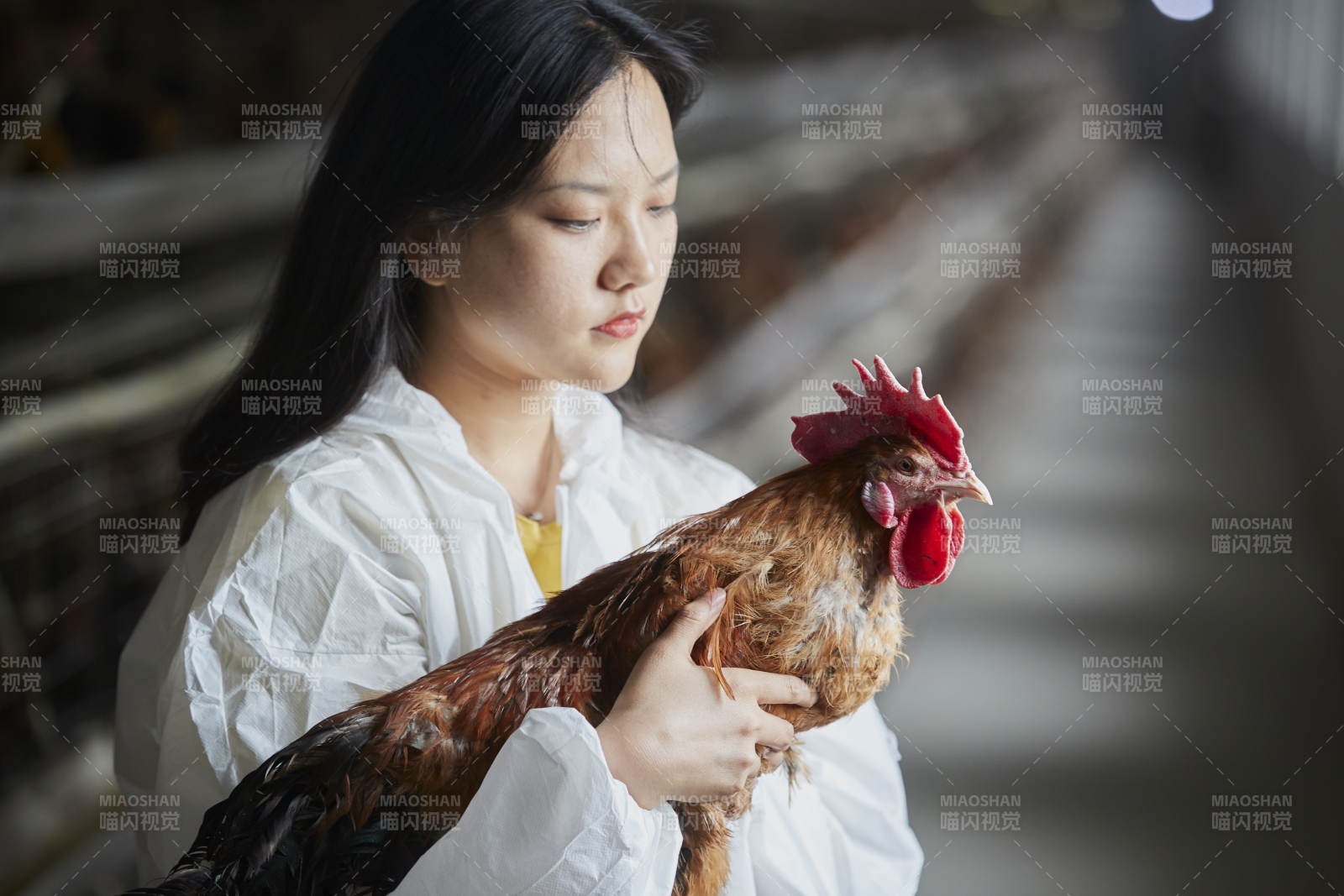 身穿防护服怀抱家禽的年轻女性饲养员图片