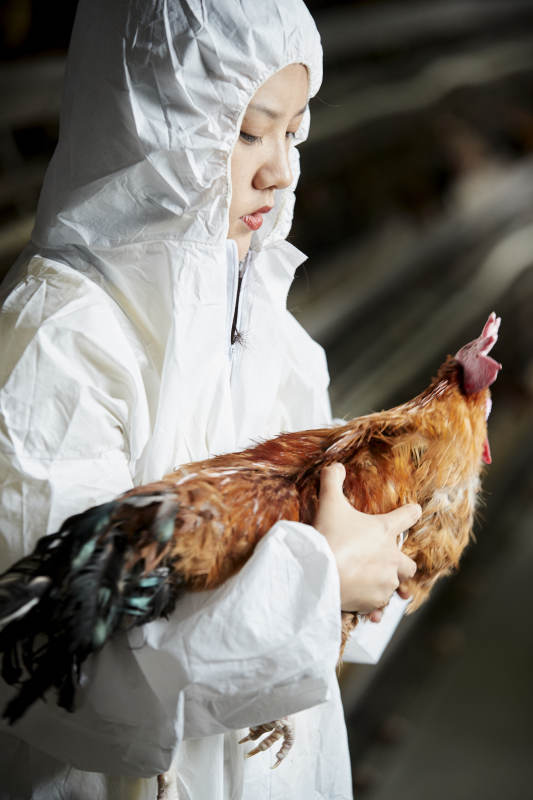 身穿防护服怀抱家禽的年轻女性饲养员图片