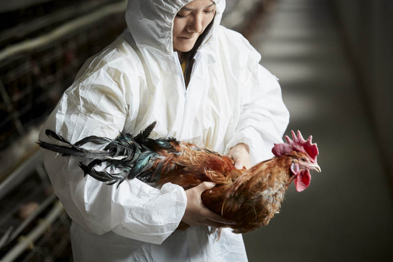 身穿防护服怀抱家禽的年轻女性饲养员图片