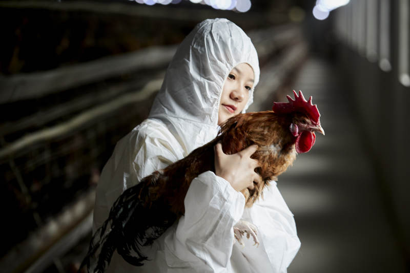 身穿防护服怀抱家禽的年轻女性饲养员图片