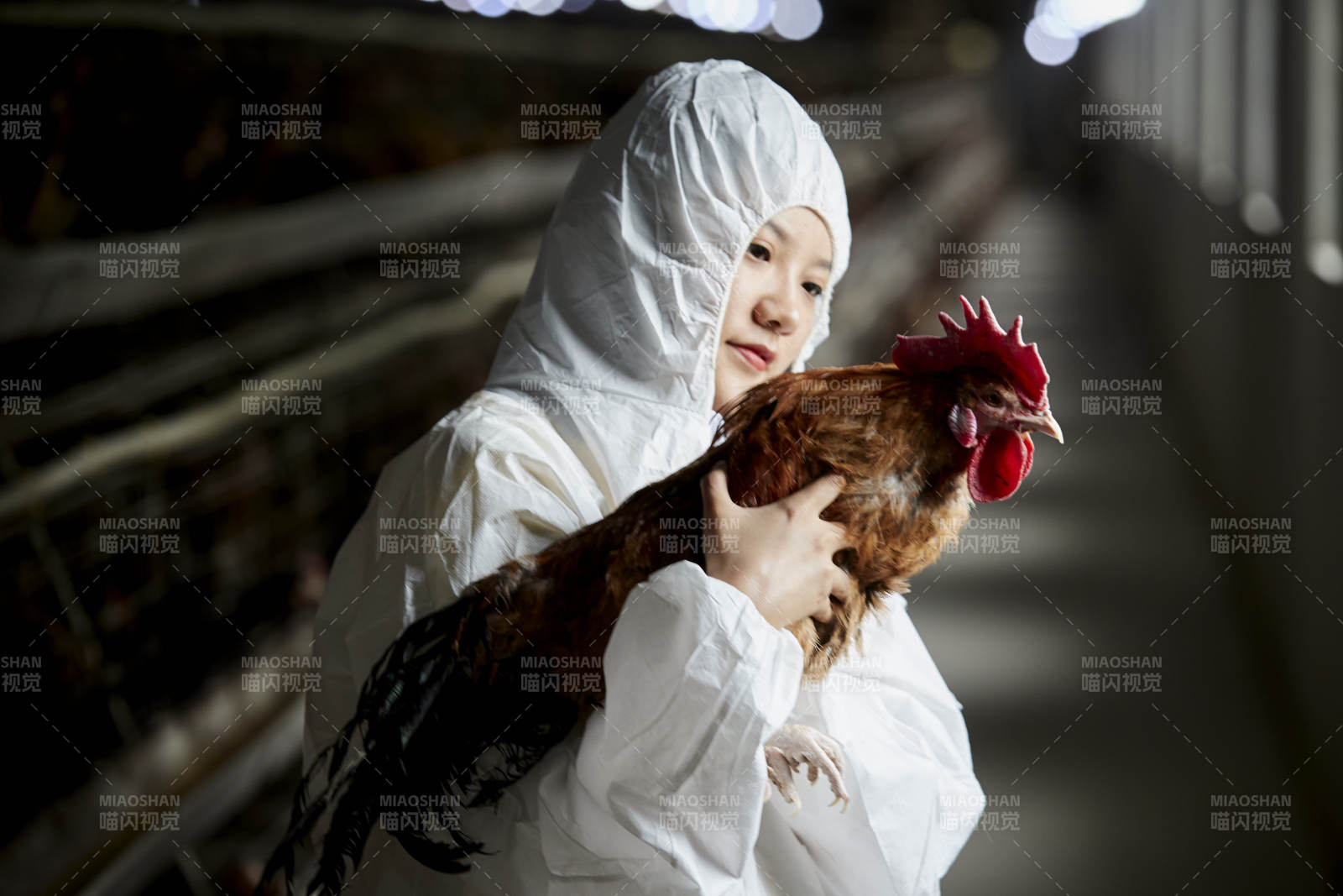 身穿防护服怀抱家禽的年轻女性饲养员图片