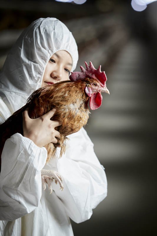 身穿防护服怀抱家禽的年轻女性饲养员图片