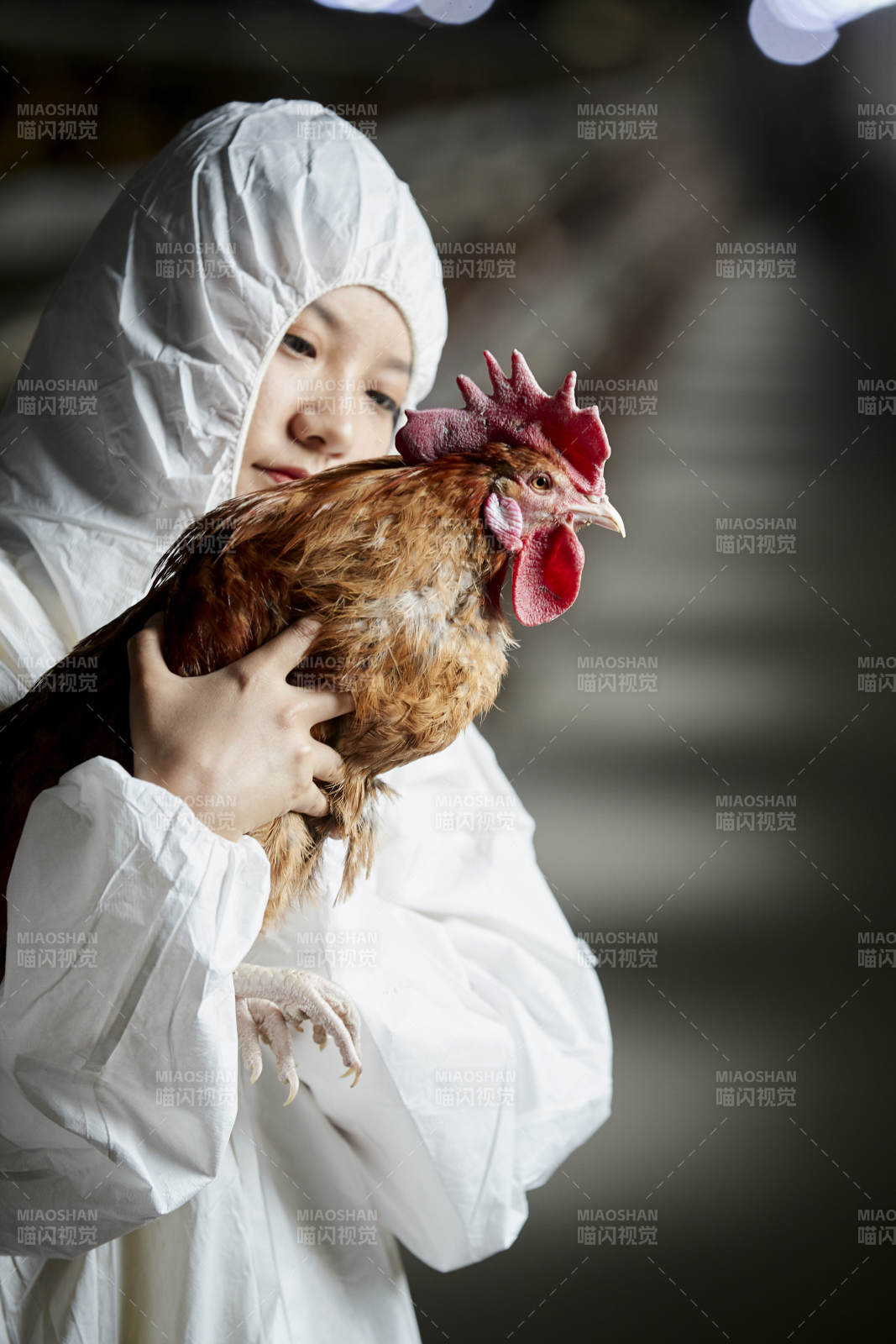 身穿防护服怀抱家禽的年轻女性饲养员图片