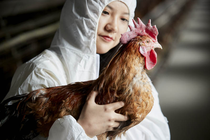身穿防护服怀抱家禽的年轻女性饲养员图片
