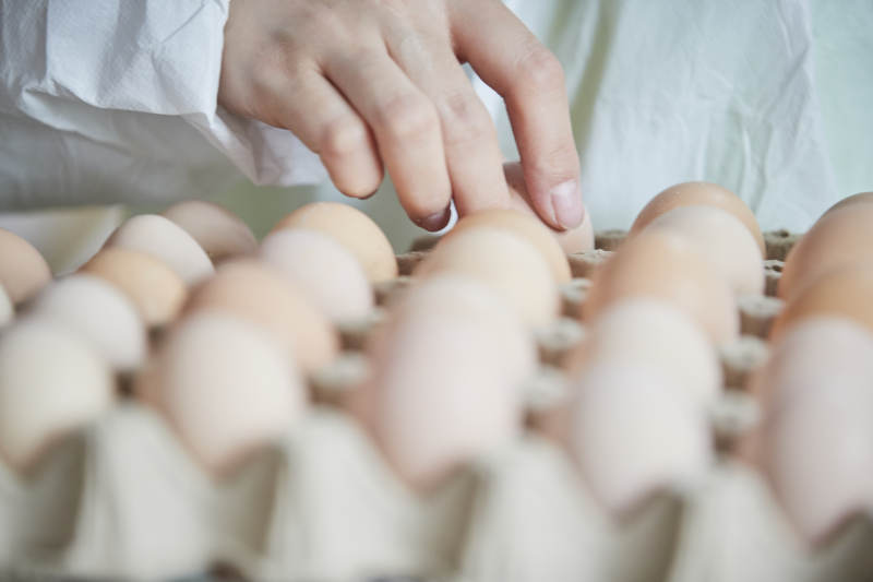 身穿防护服展示油鸡蛋的女性饲养员图片