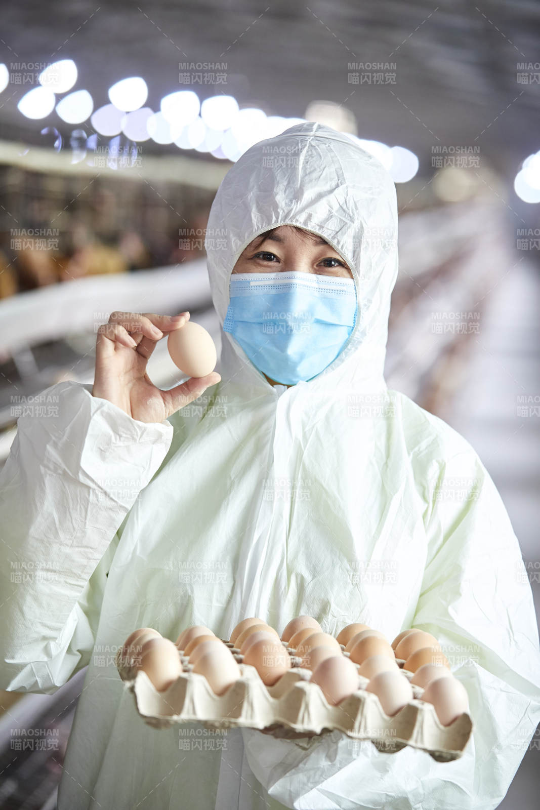 身穿防护服展示油鸡蛋的女性饲养员图片
