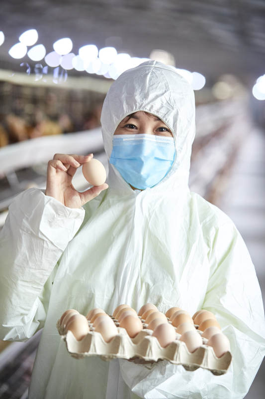 身穿防护服展示油鸡蛋的女性饲养员图片