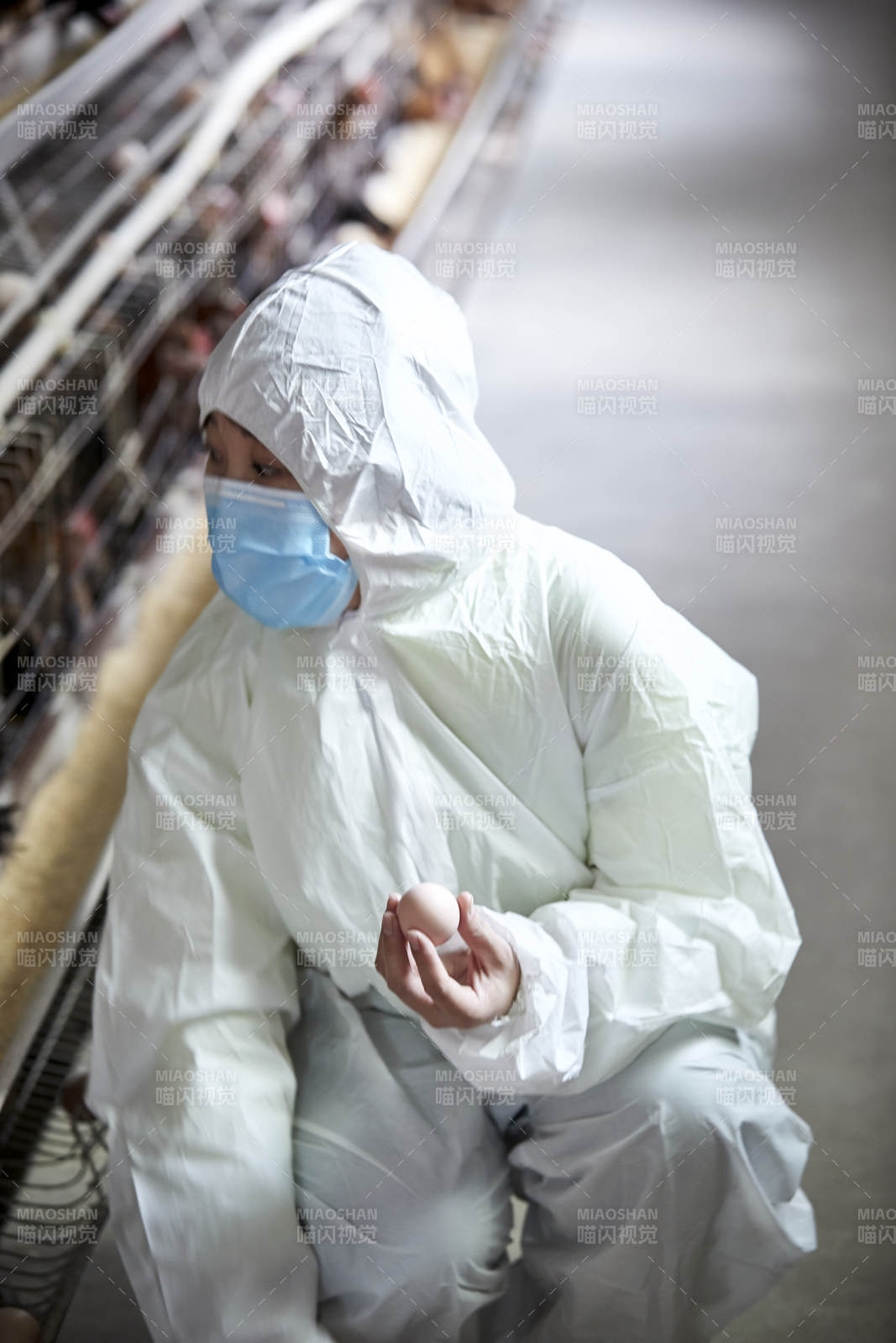 身穿防护服展示油鸡蛋的女性饲养员图片