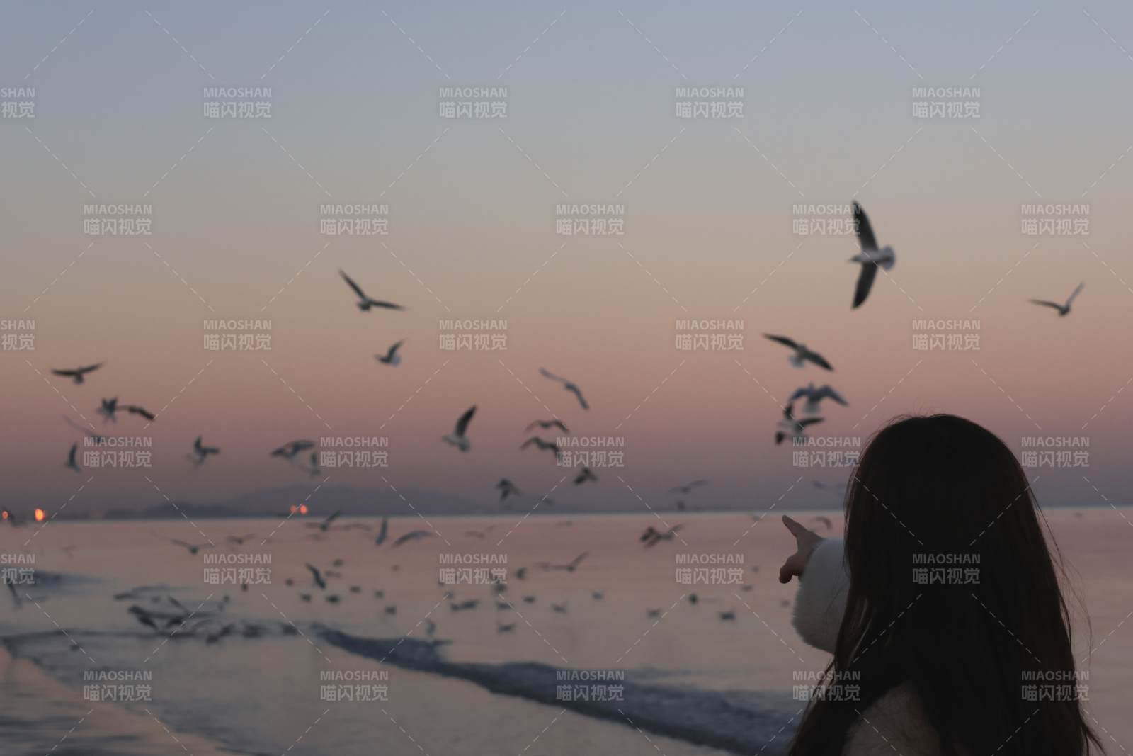 海边日落飞鸟图片