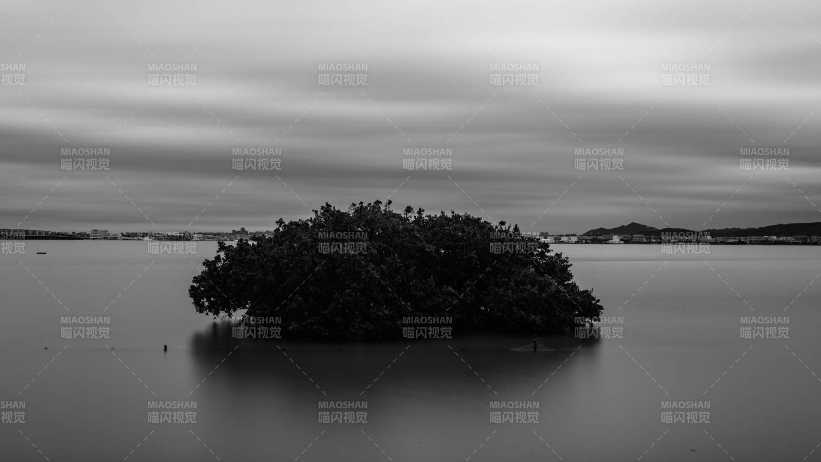 海边孤岛红树林长曝光图片