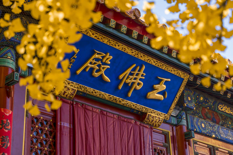 八大处灵光寺玉佛殿秋景图片