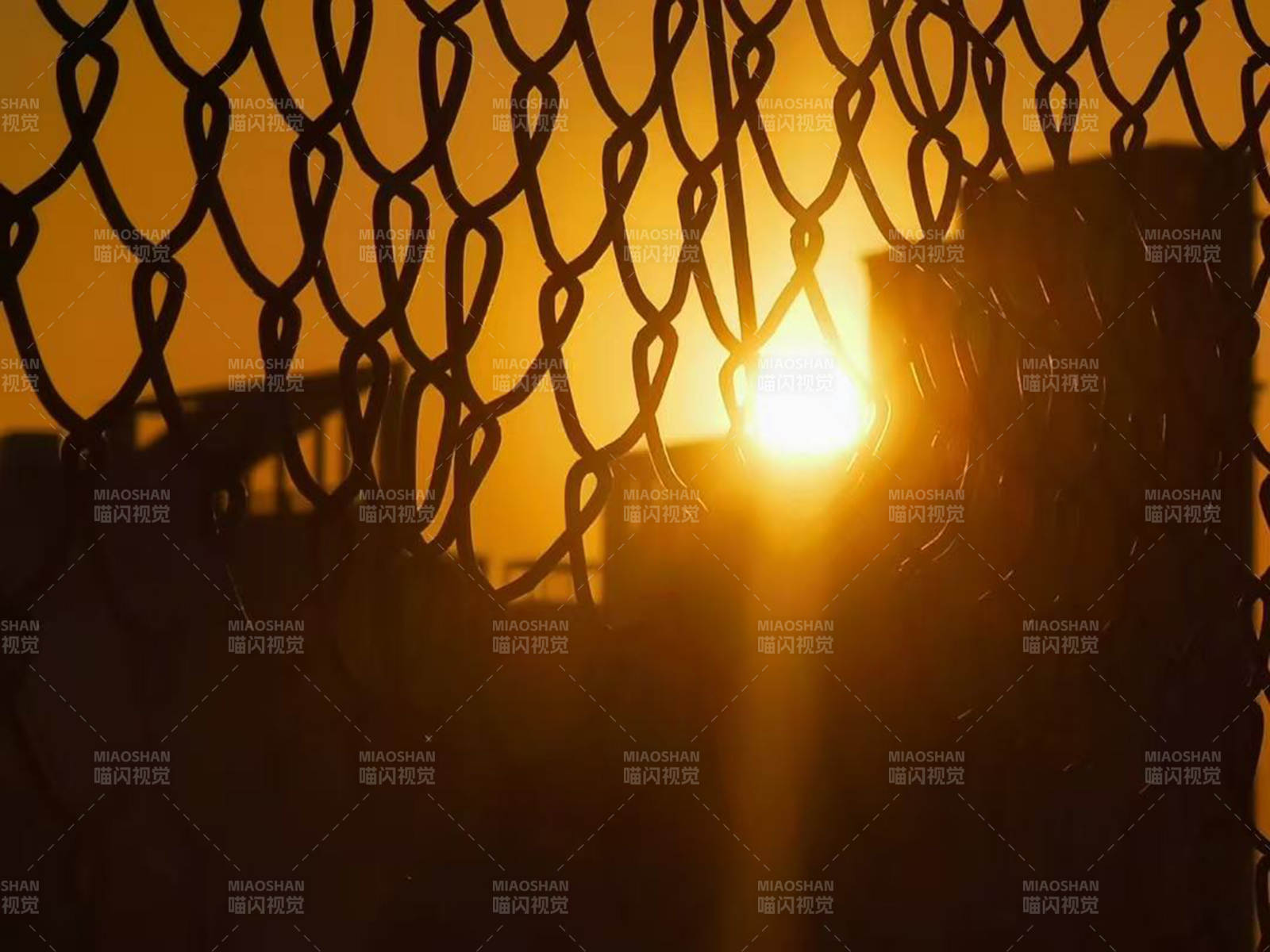 夕阳穿透铁网图片