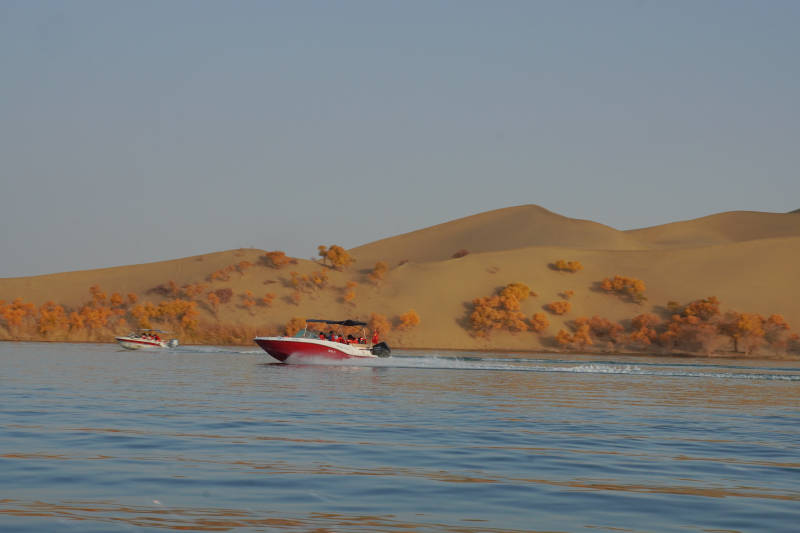 沙漠湖上快艇驰骋图片