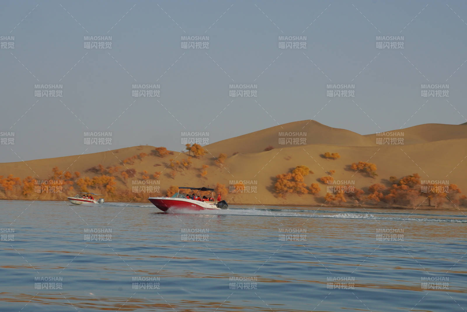 沙漠湖上快艇驰骋图片