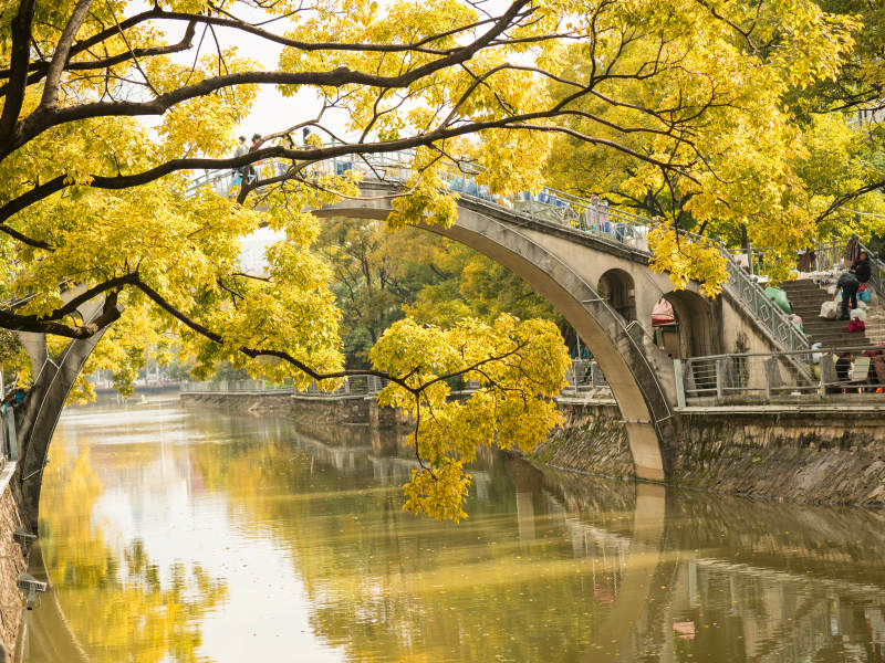 秋天昆明大观河拱桥和滇朴树风景图片