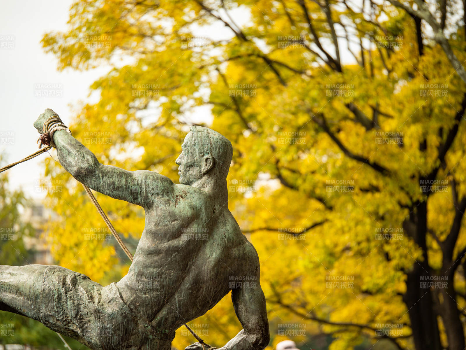 秋日昆明大观河河畔渔夫拉网雕塑和滇朴树背图片