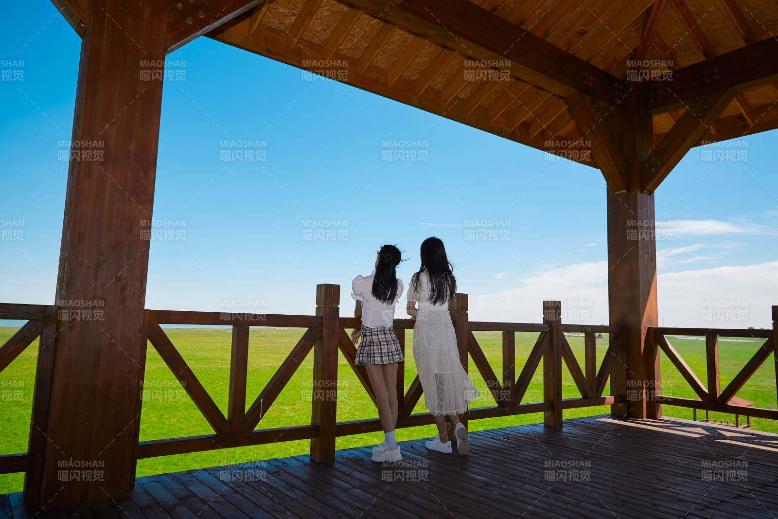 盛夏在草原湿地公园游玩的姑娘图片