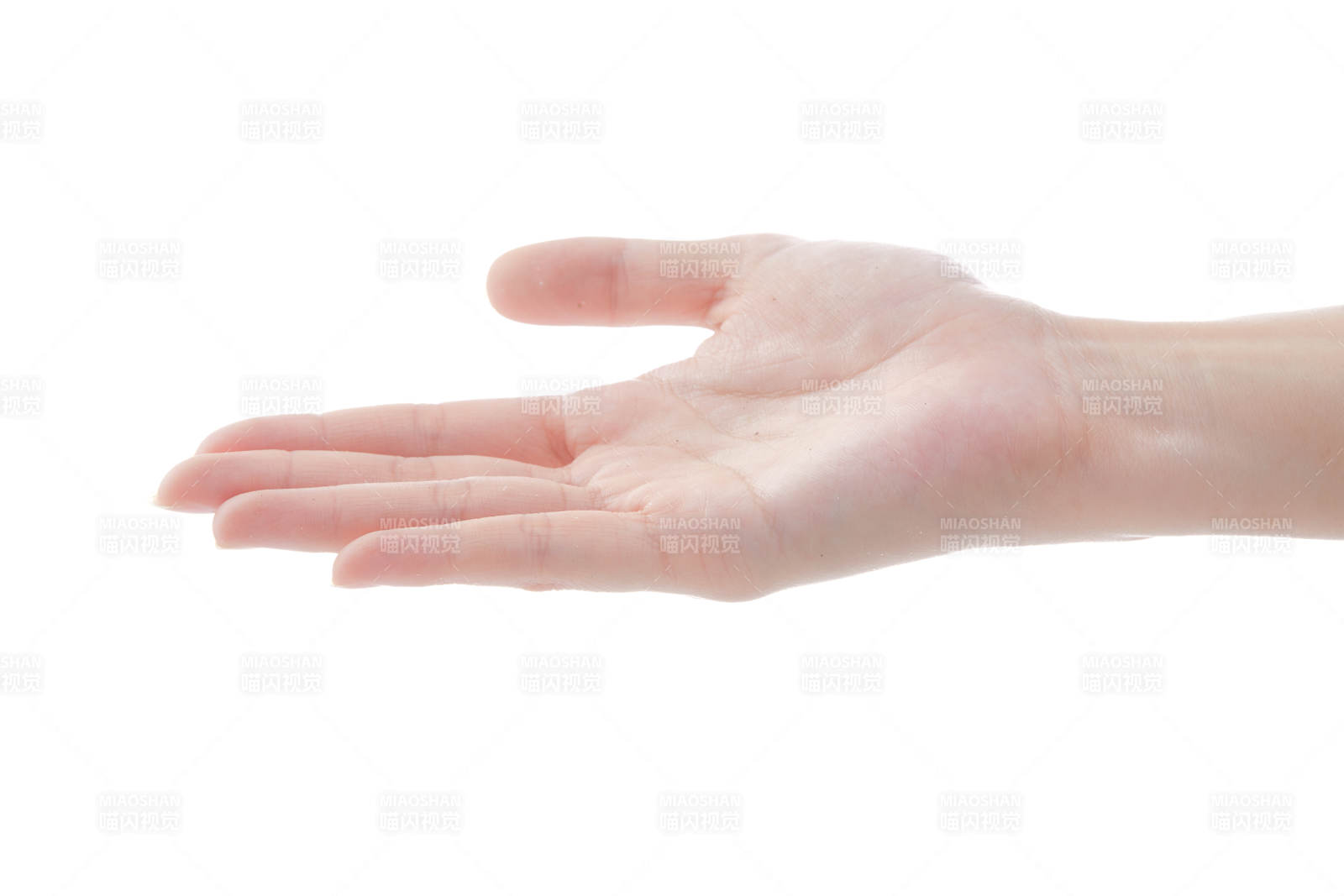 纤细柔美的女性手部特写图片